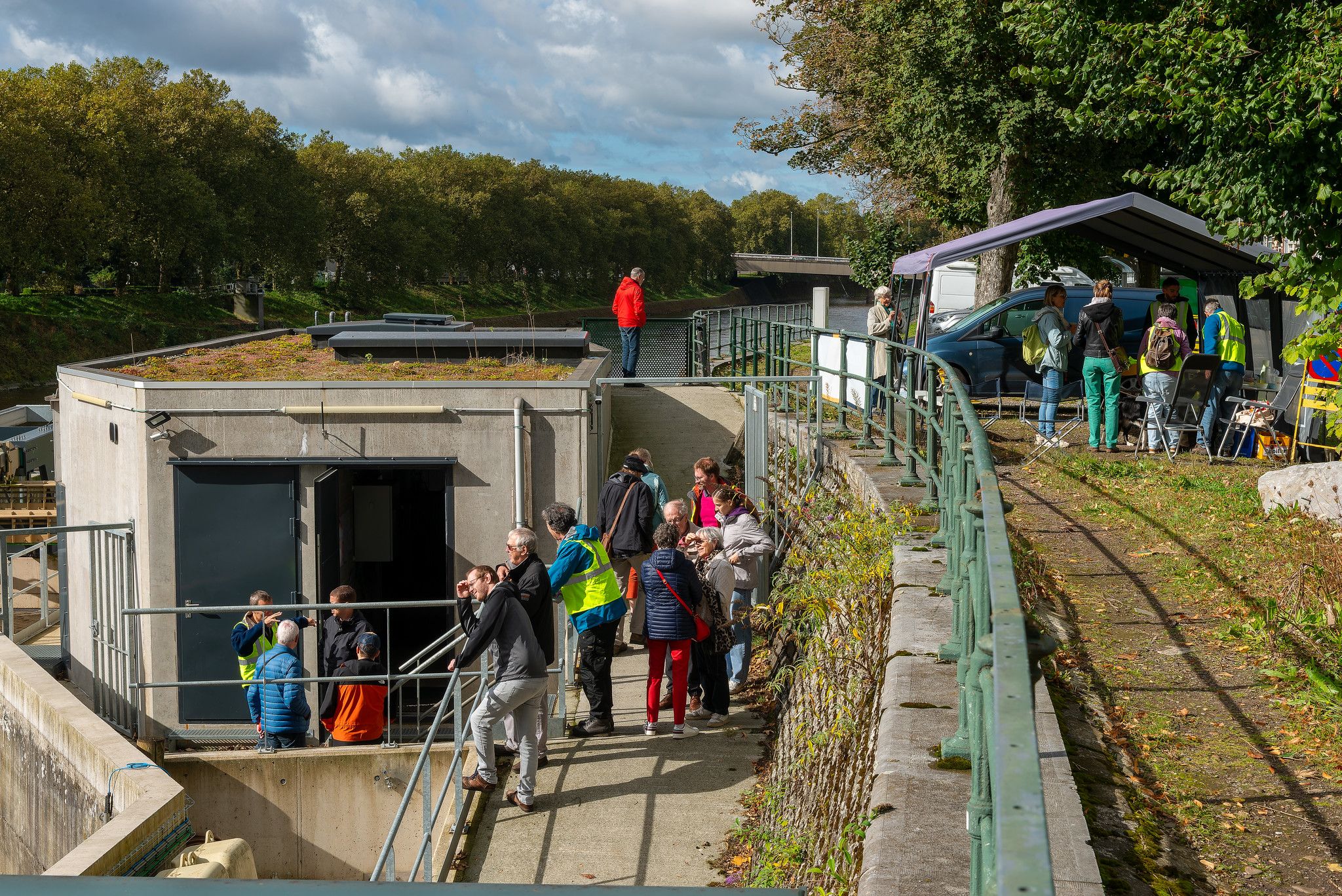 Texte Odoo et bloc d'image